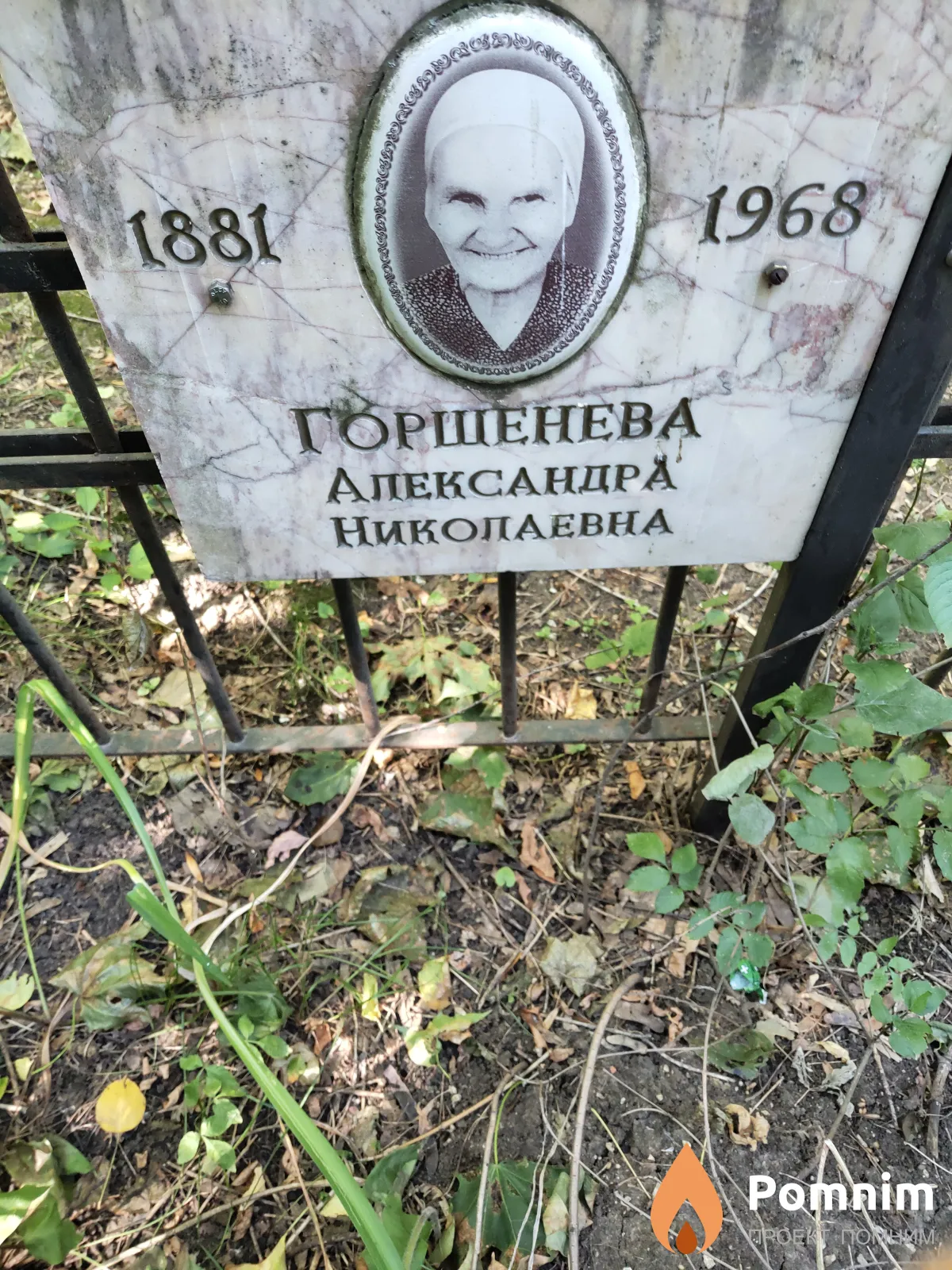 Горшенева Александра Николаевна