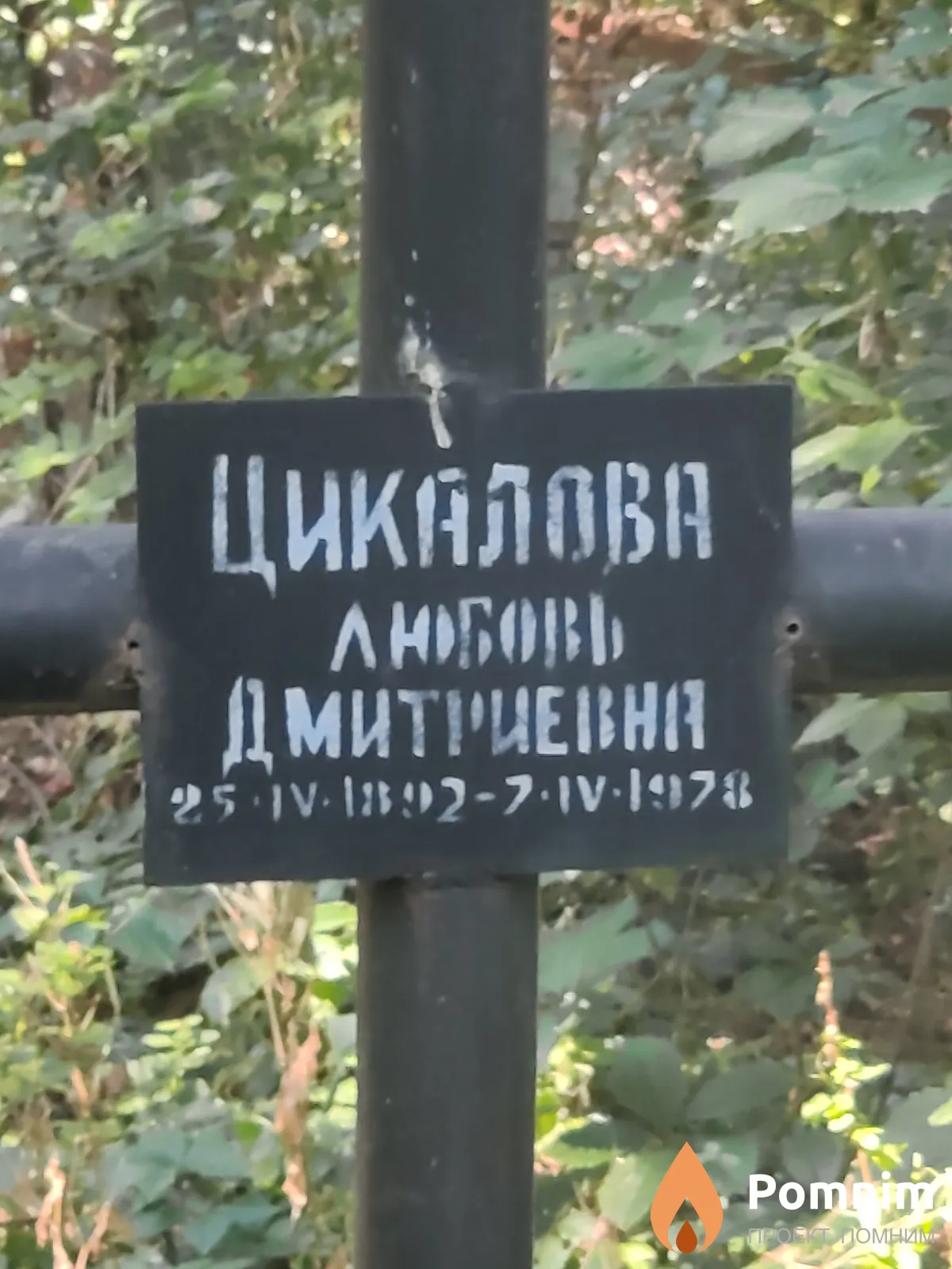 Цикалова Любовь Дмитриевна