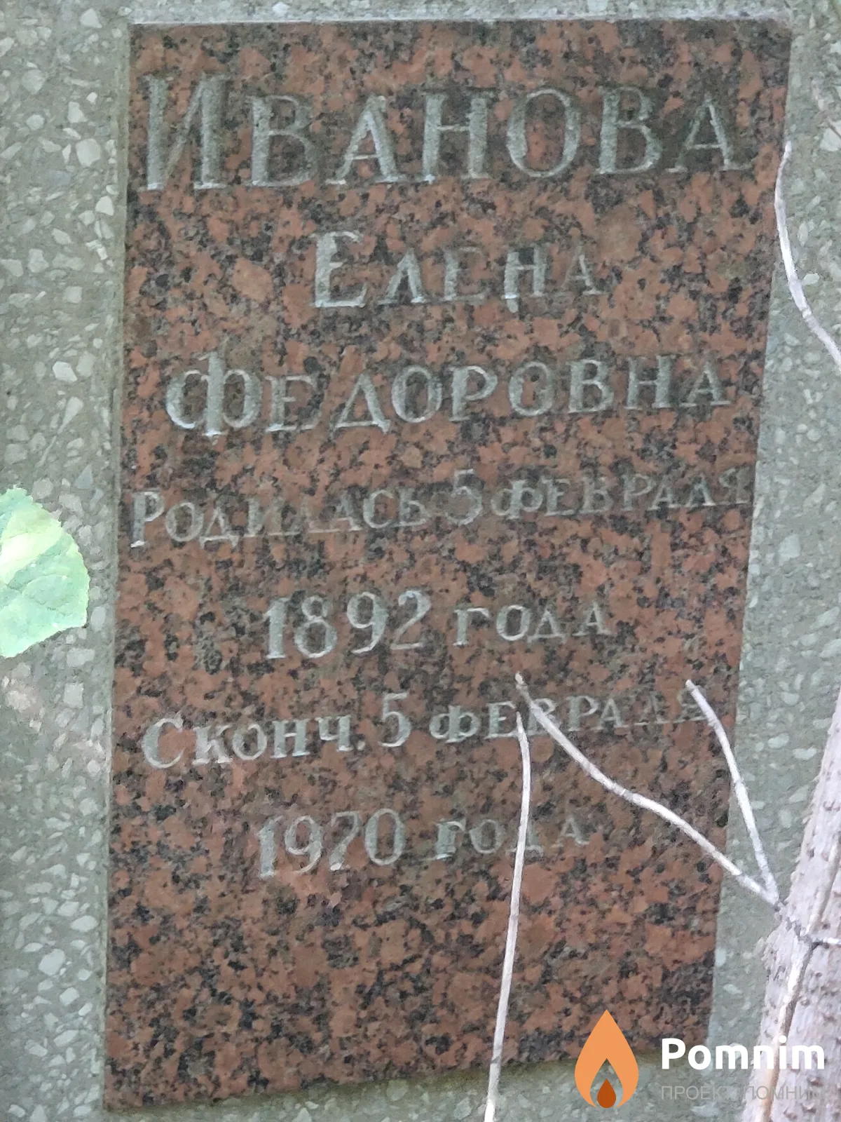 Иванова Елена Федоровна