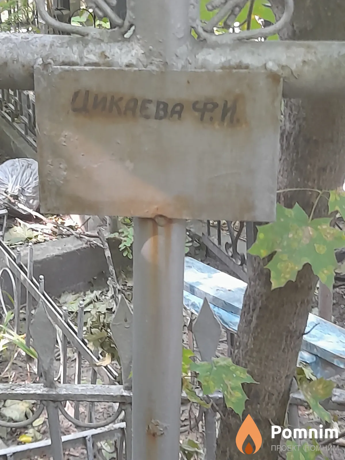 Цикаева Ф И