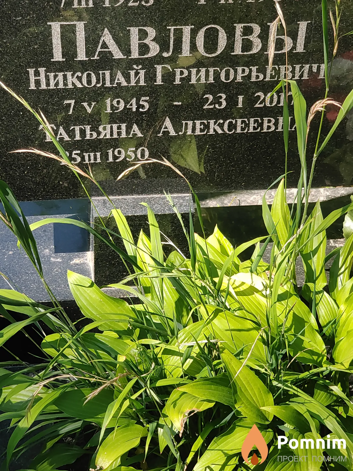 Павлов Николай Григорьевичі