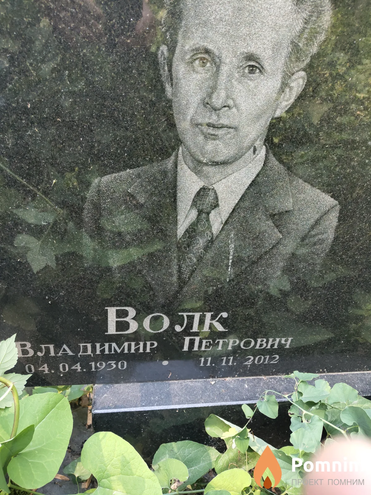 Волк Владимир Петрович