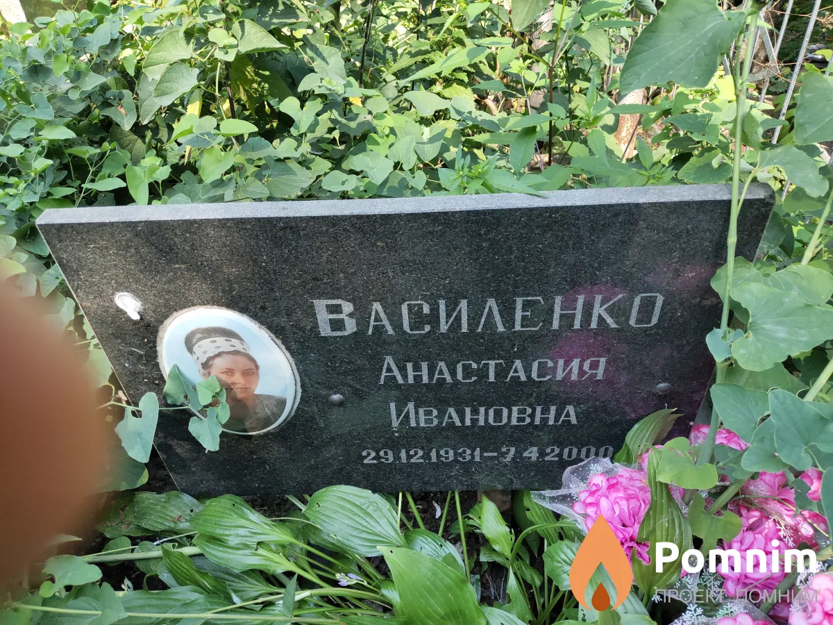 Василенко Анастасия Ивановна