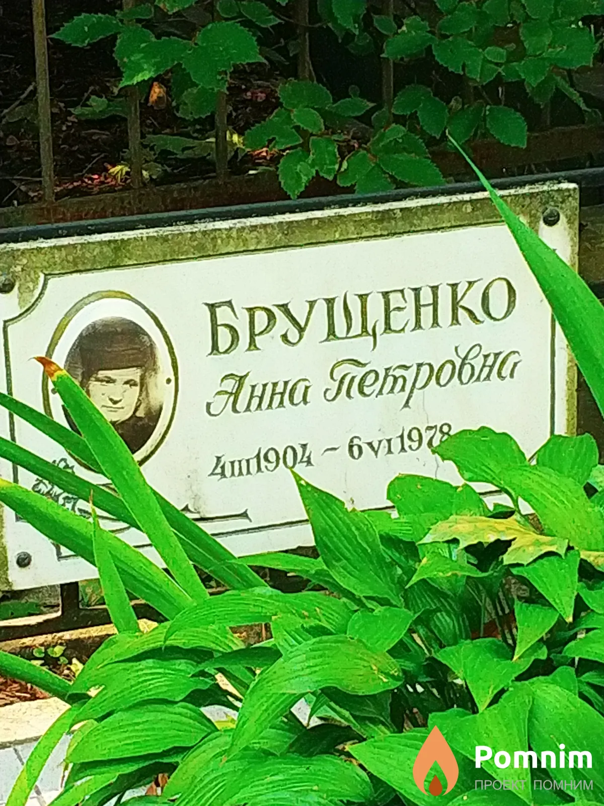 Брущенко Анна Петровна