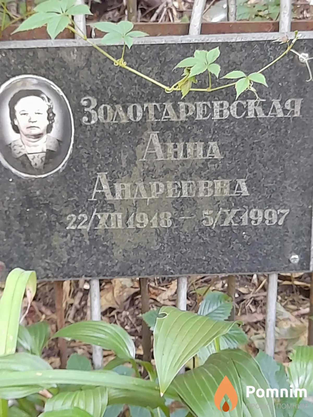 Золотаревская Анна Андреевна