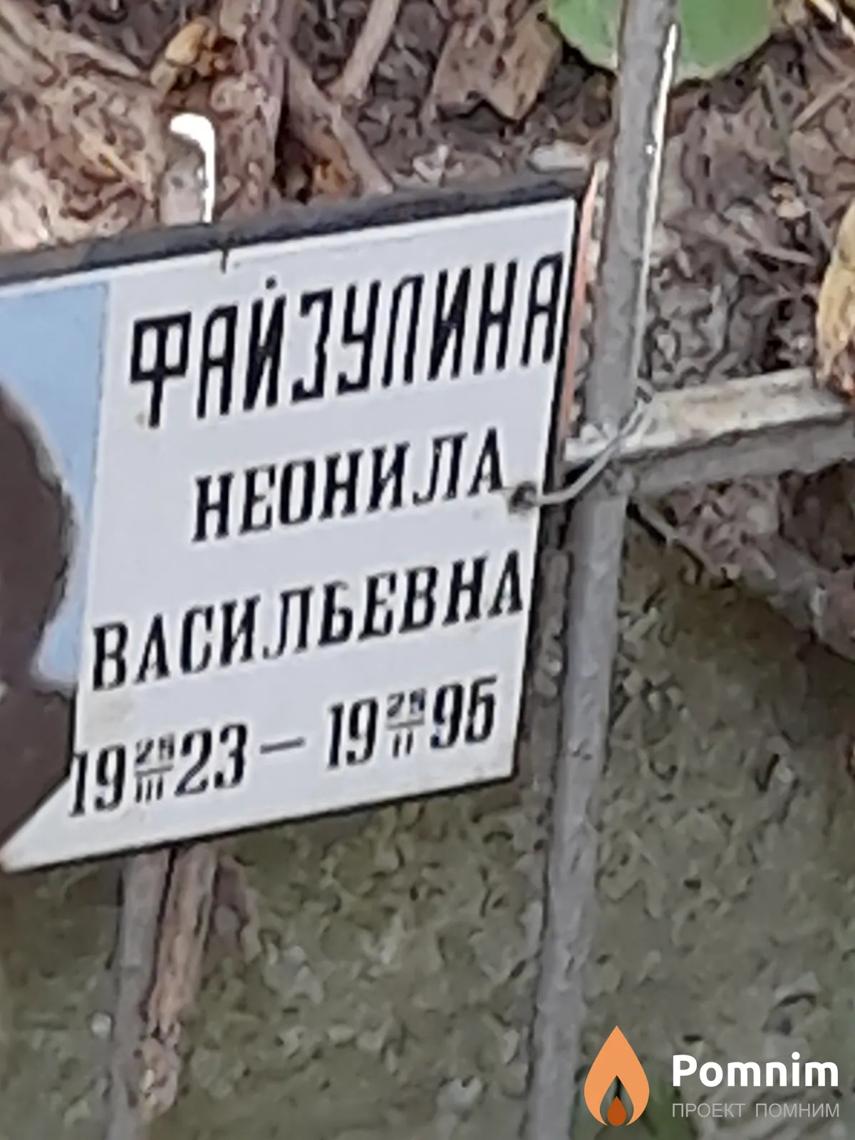 Файзулина Неонила Васильевна