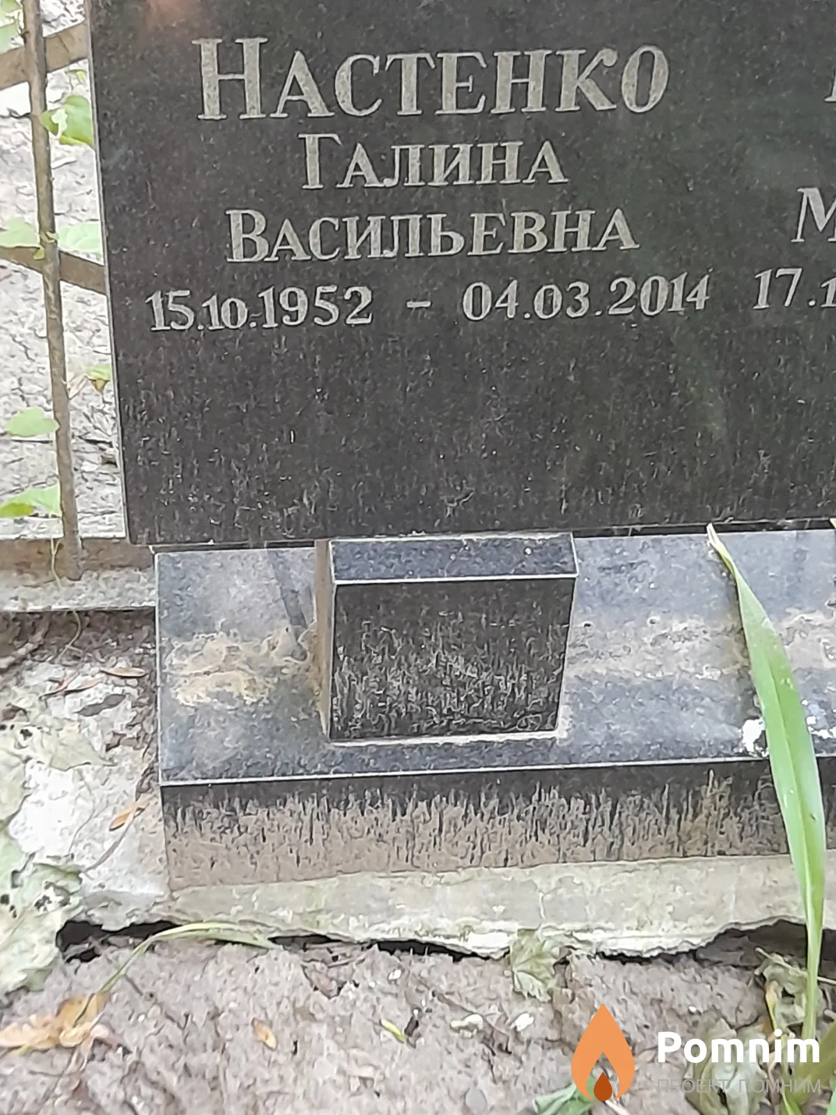 Настенко Галина Васильевна