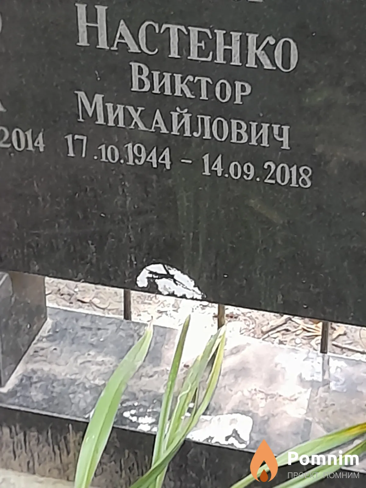 Настенко Виктор Михайлович