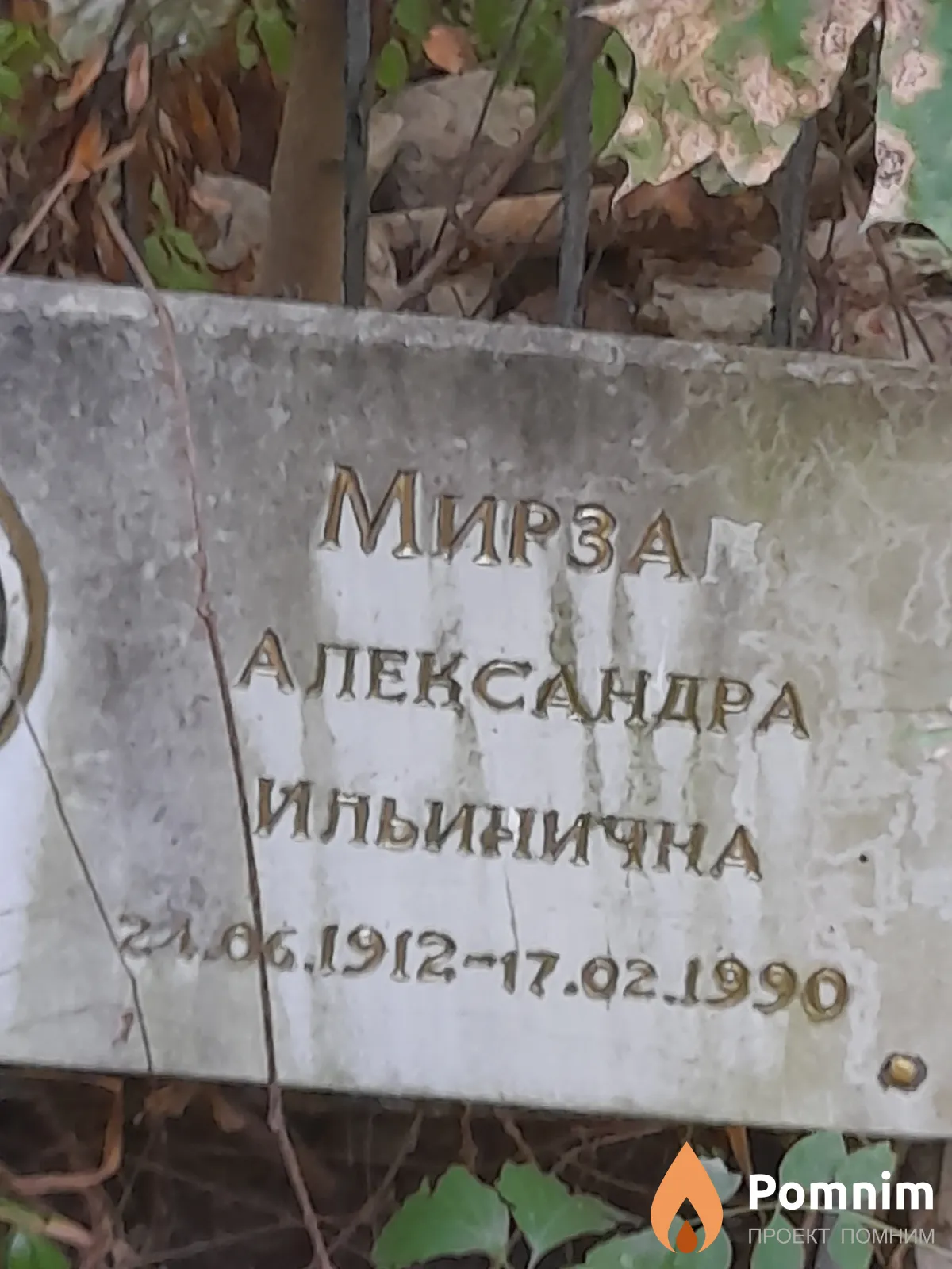 Мирза Александра Ильинична