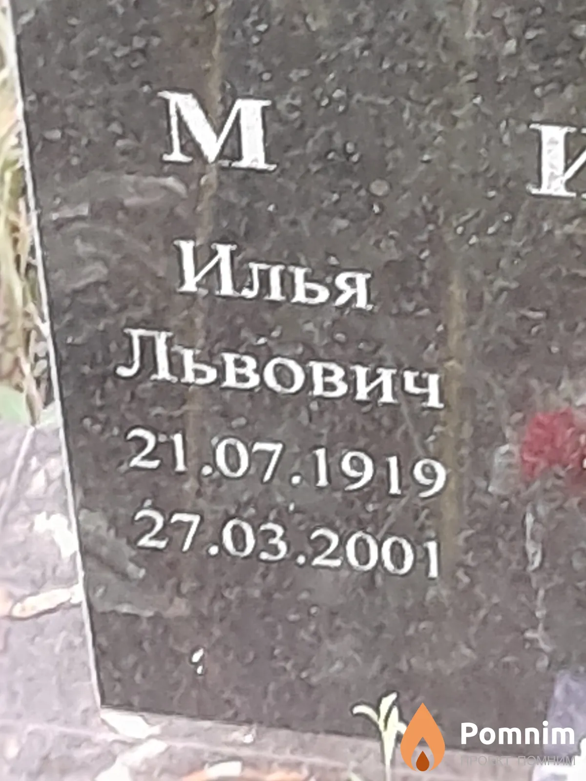 Миненко Илья Львович