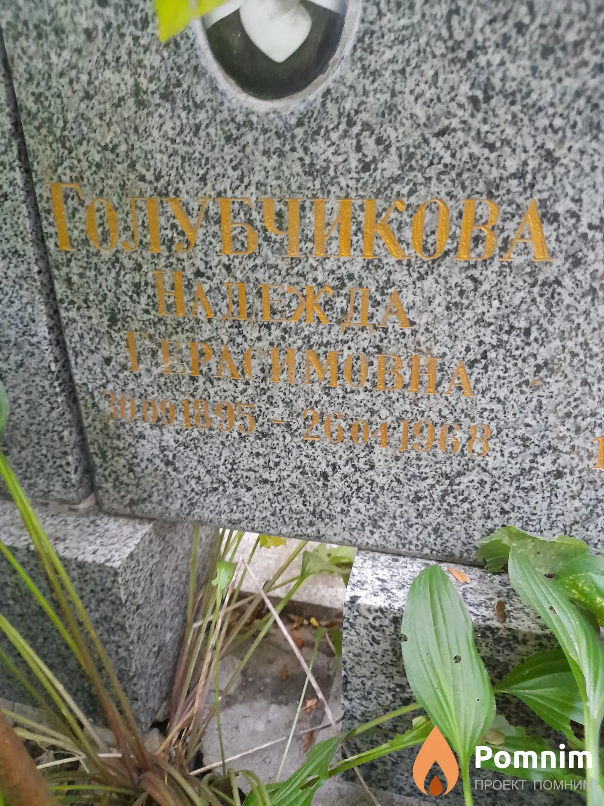Голубчикова Надежда Георгиевна