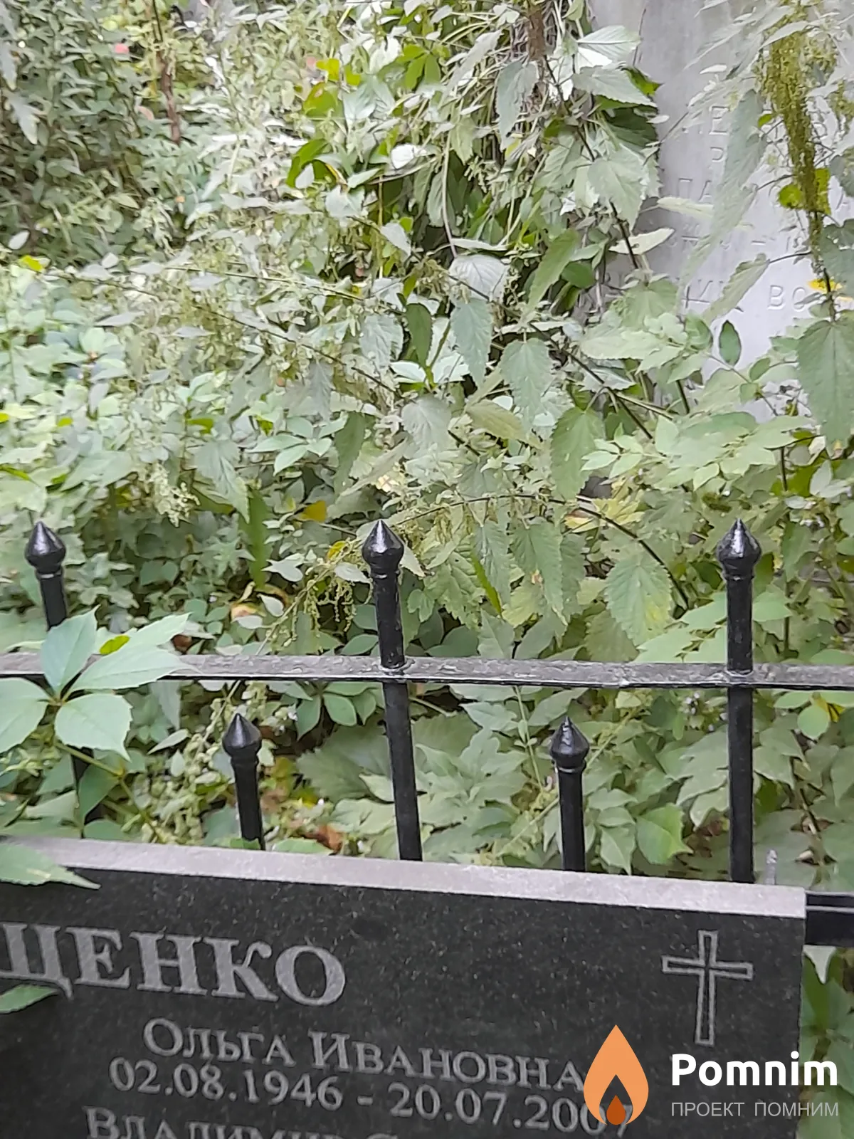 Терещенко Ольга Ивановна