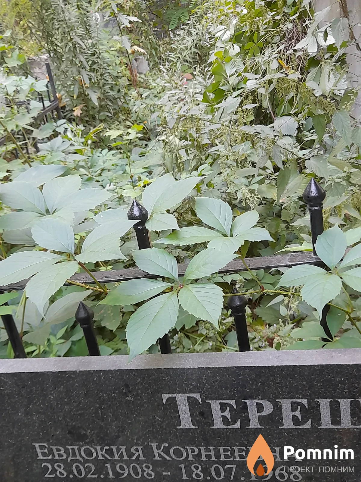 Терещенко Евдокия Корнеевна