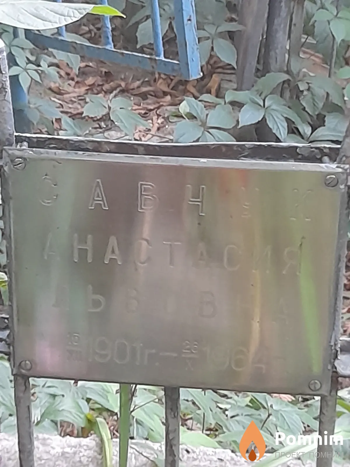 Савчук Анастасия Львовна