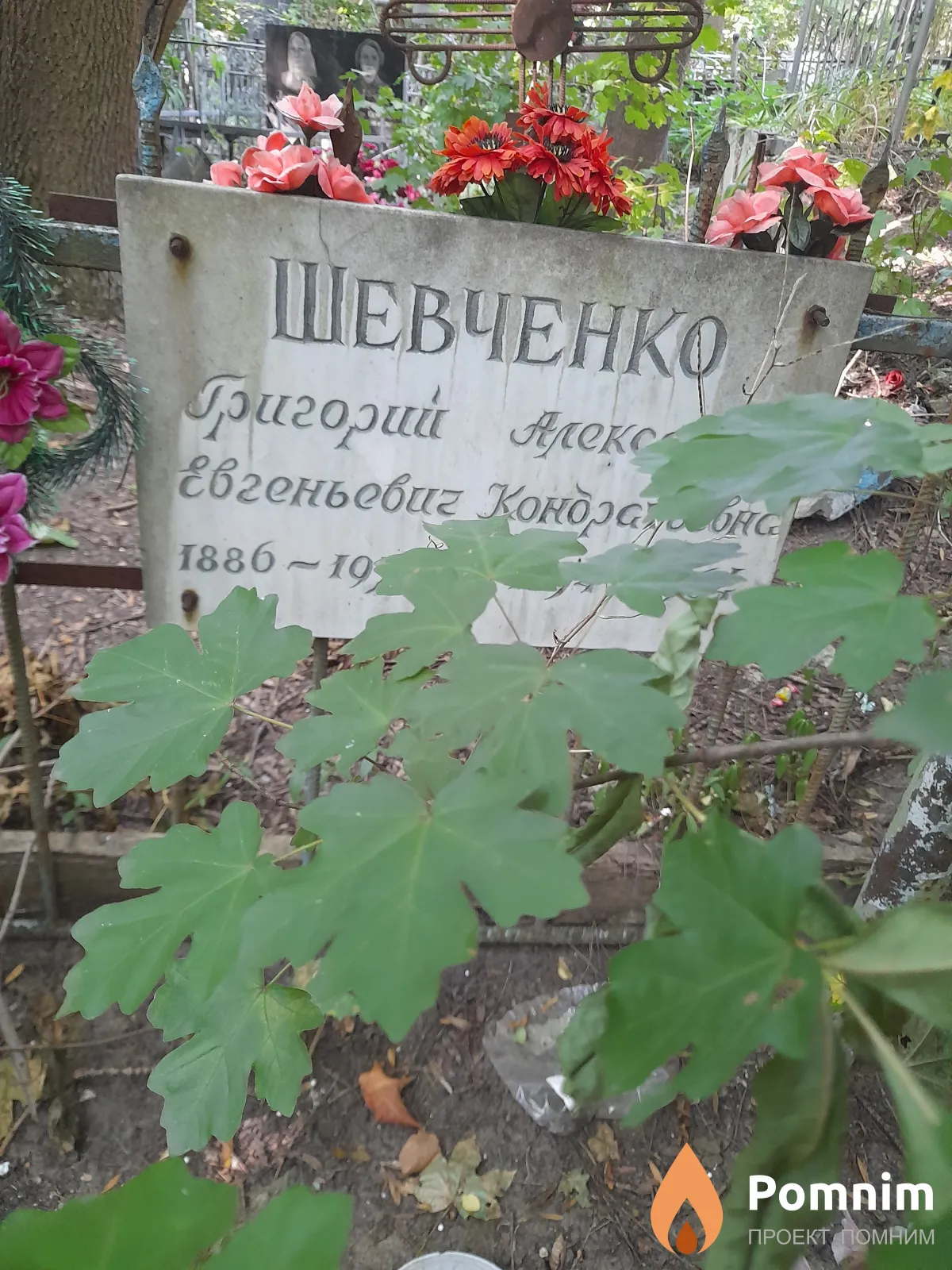 Шевченко Григорий Евгеньевич