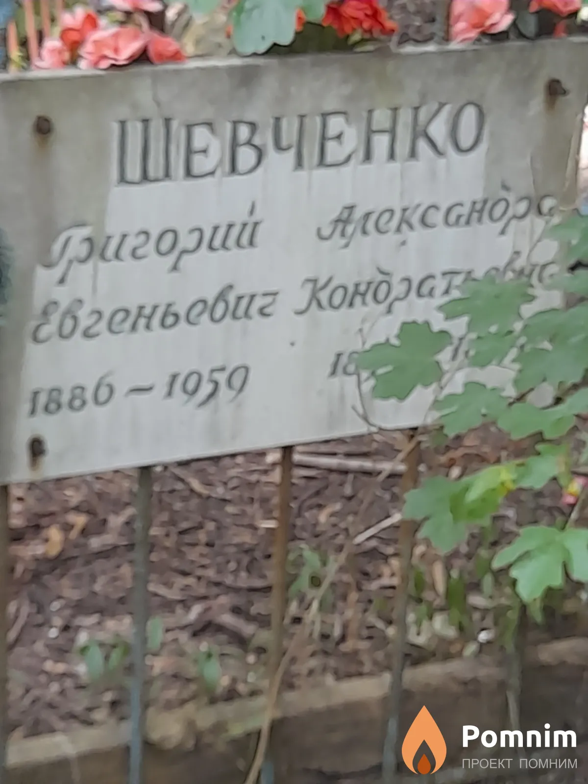 Шевченко Александра Кондратьевна