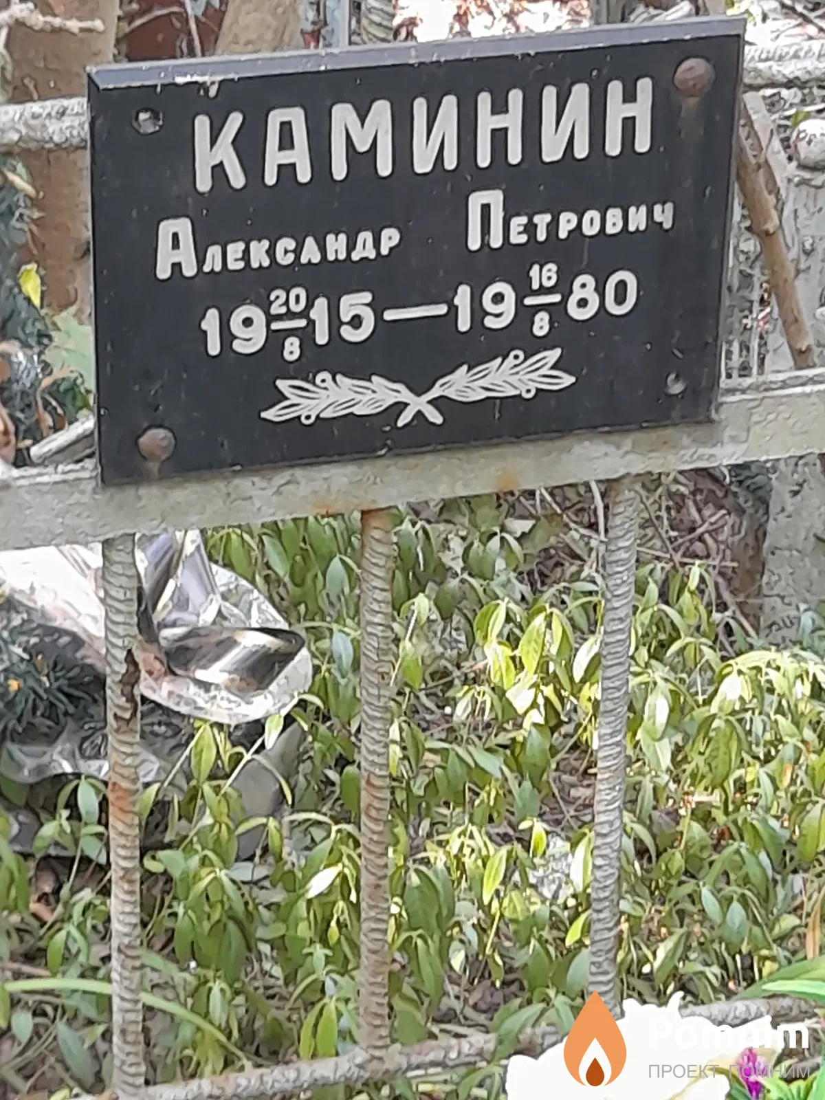 Каминин Александр Петрович