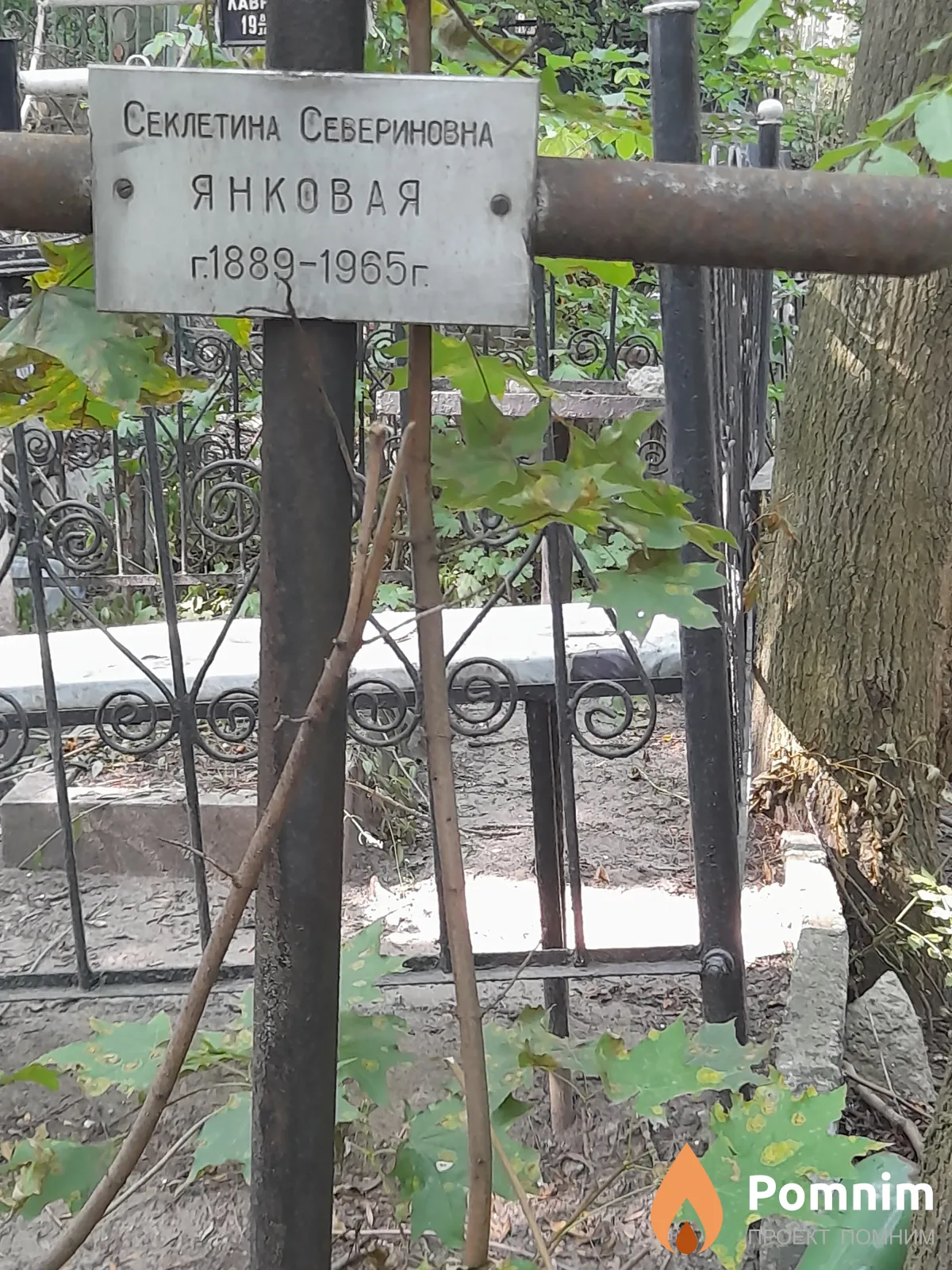 Янковая Секлетина Севериновна