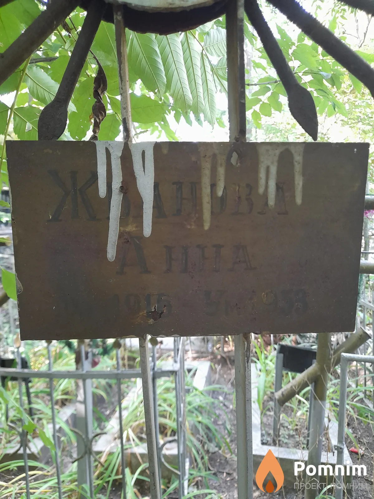 Жванова Анна