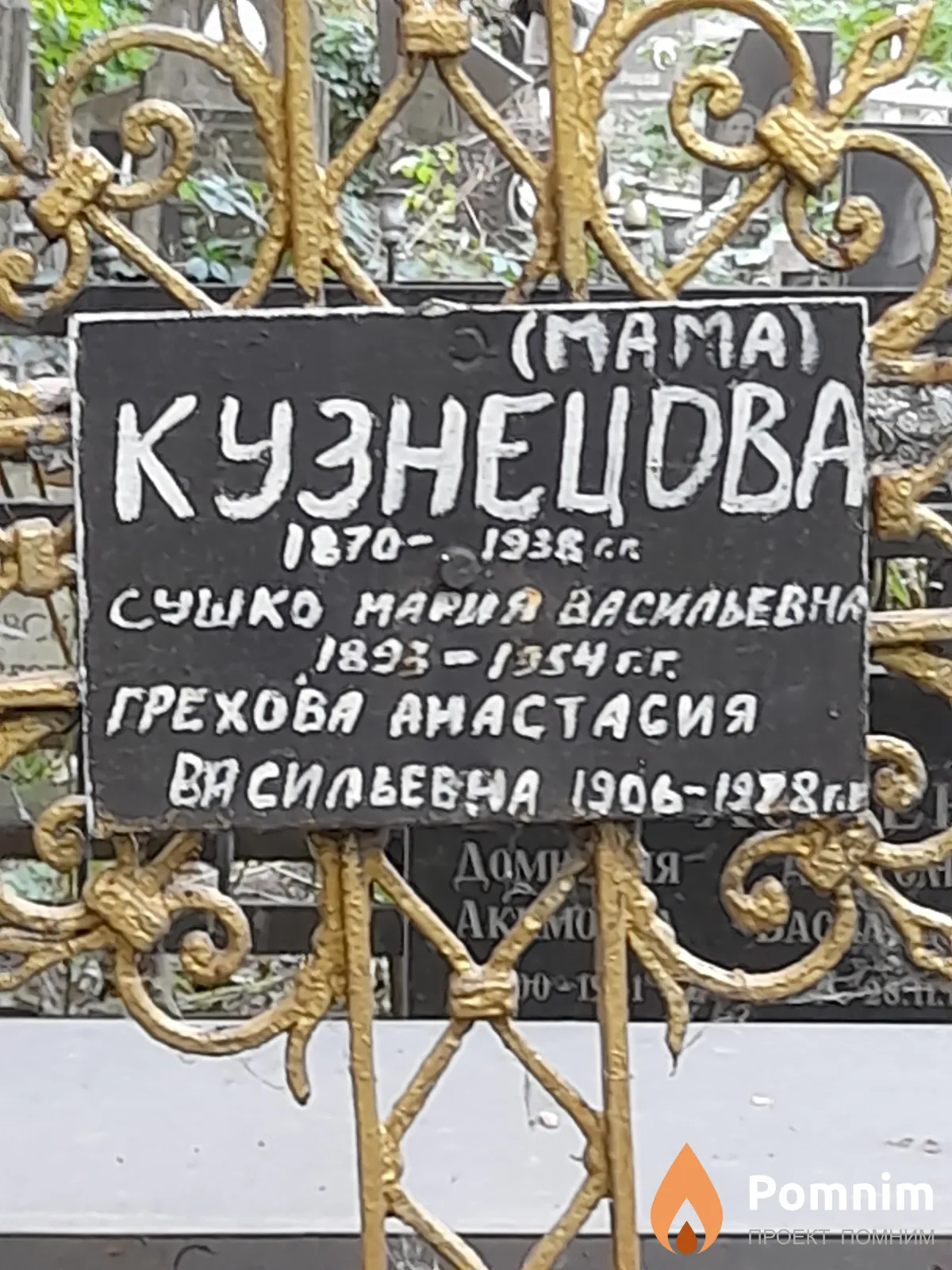 Грехова Анастасия Васильевна