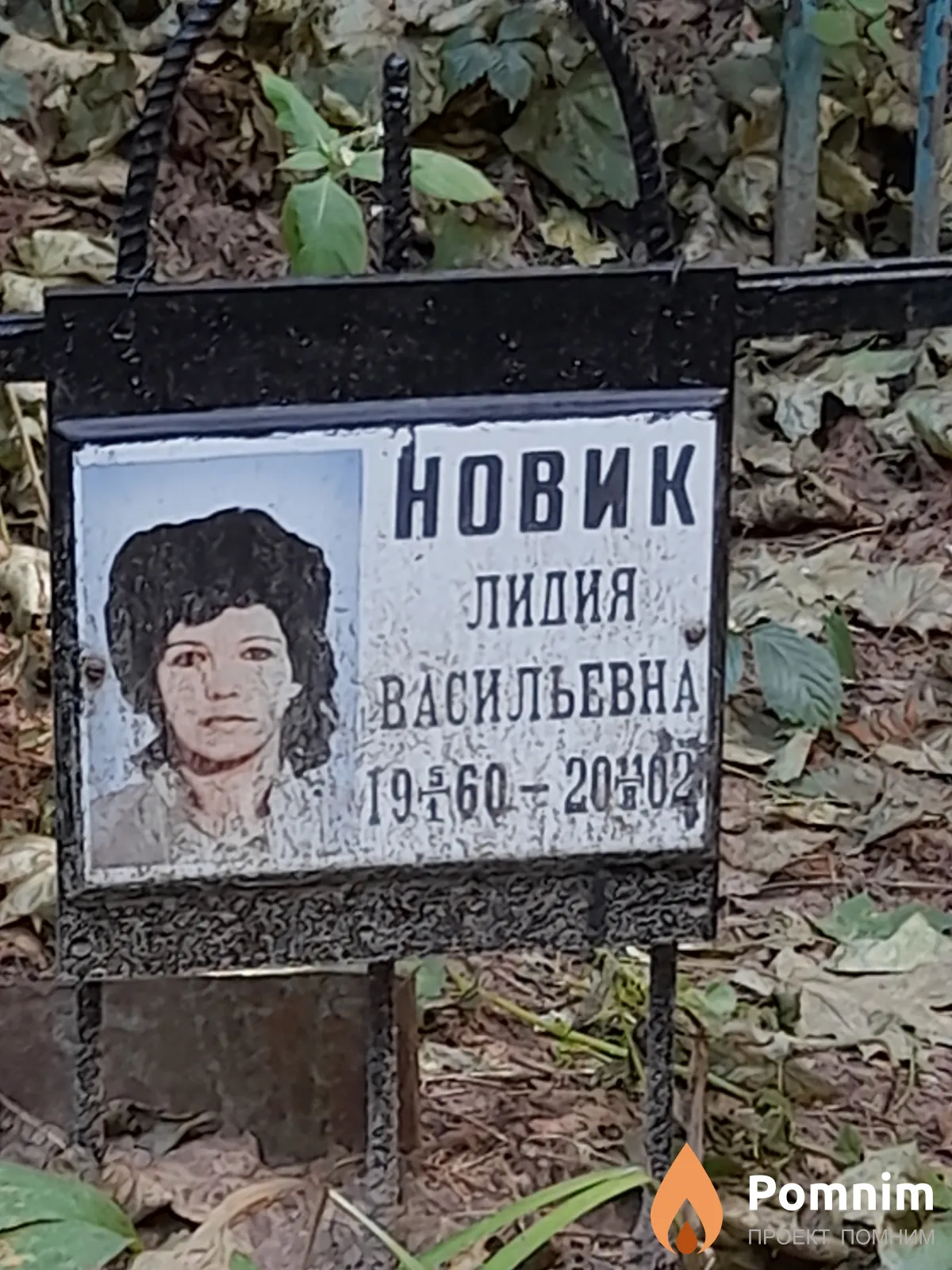Новик Лидия Васильевна