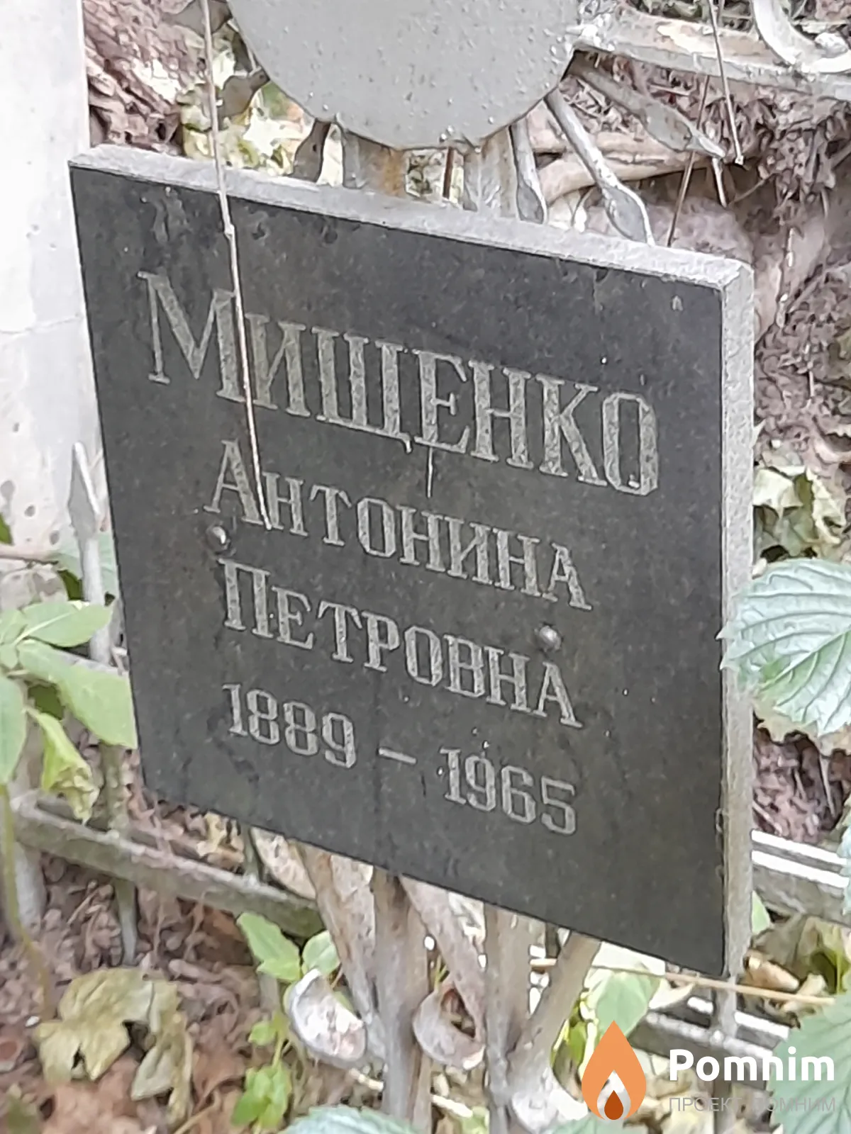 Мищенко Антонина Петровна