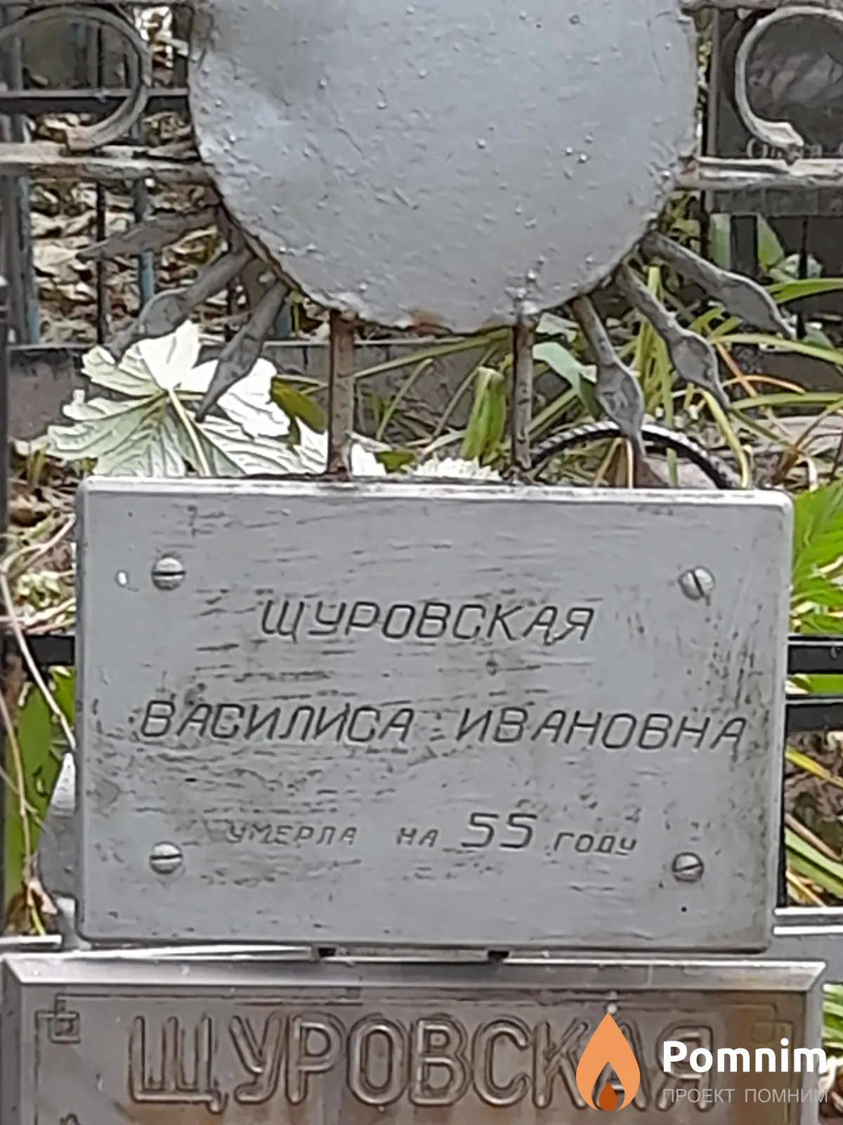 Щуровская Василиса Ивановна