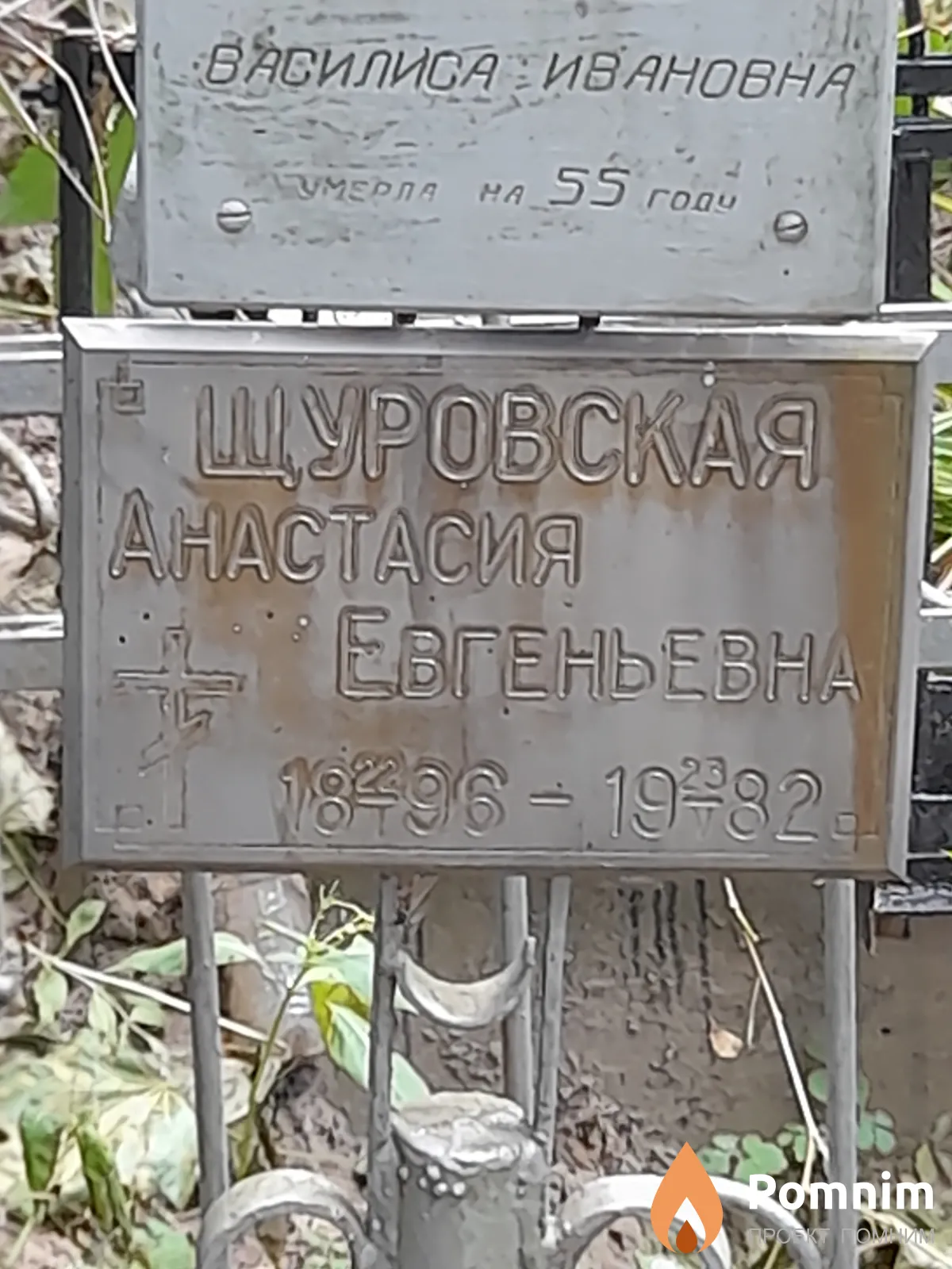 Щуровская Анастасия Евгеньевна