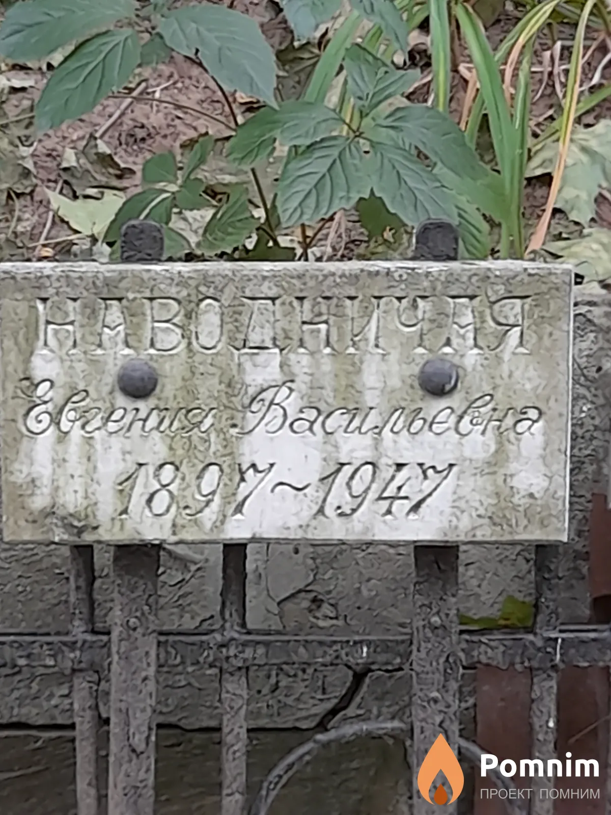 Наводничная Евгения Васильевна