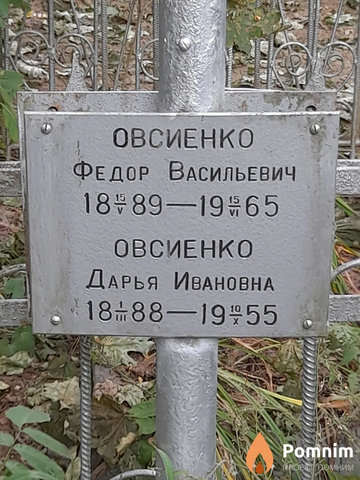 Овсиенко Дарья Ивановна