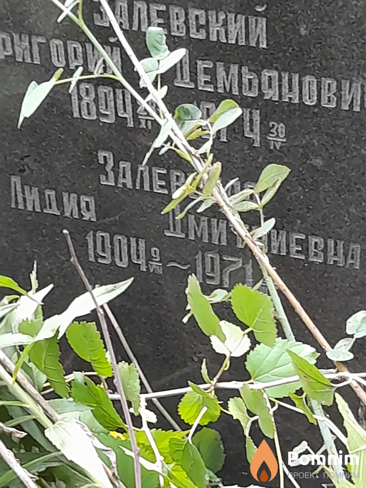 Залевская Лидия Дмитриевна