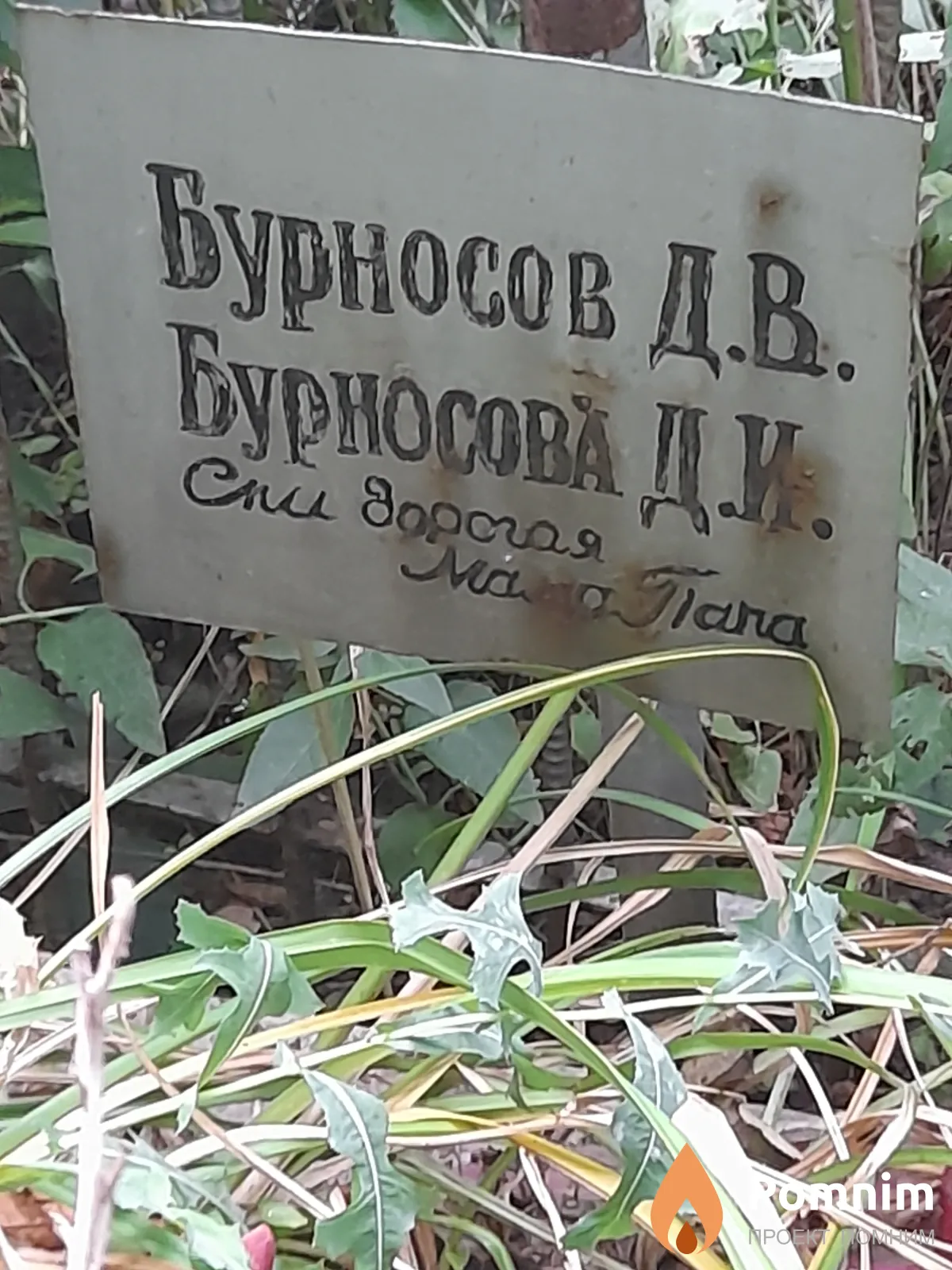 Бурносов Д. В