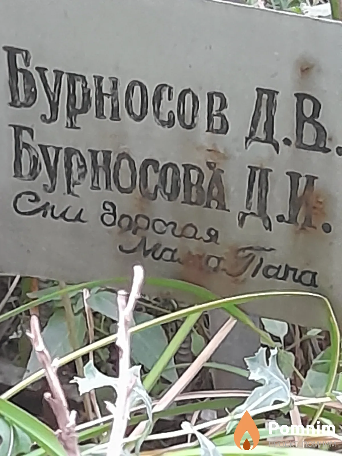 Бурносова Д И