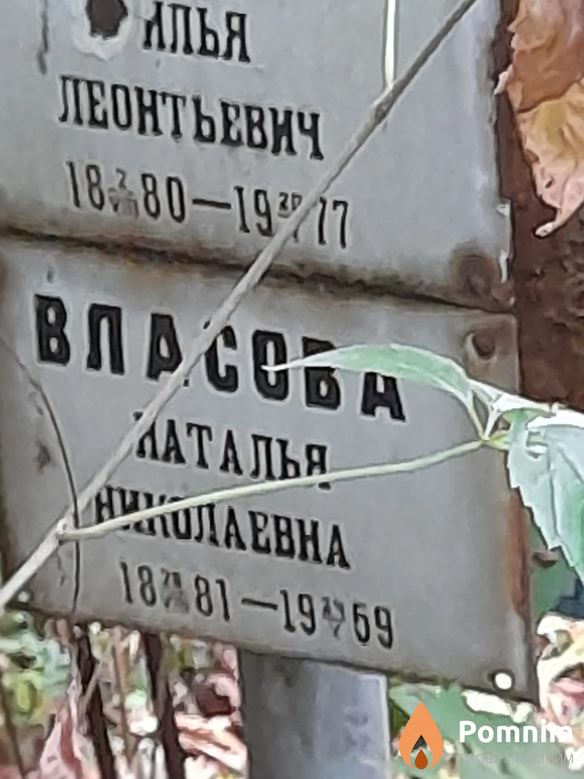 Власова Наталья Николаевна