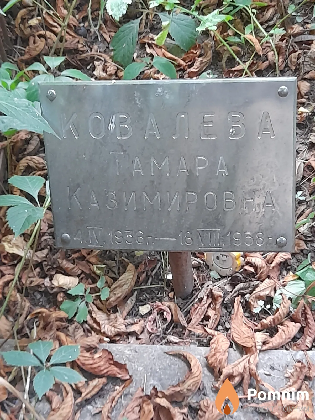 Ковалева Тамара Казимировна