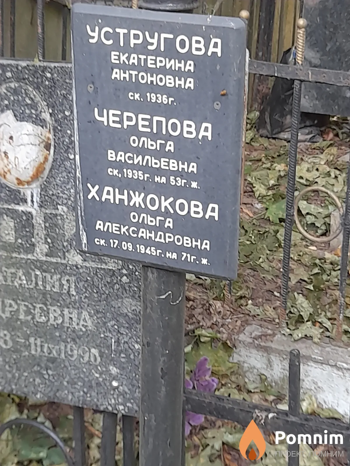 Черепова Ольга Васильевна