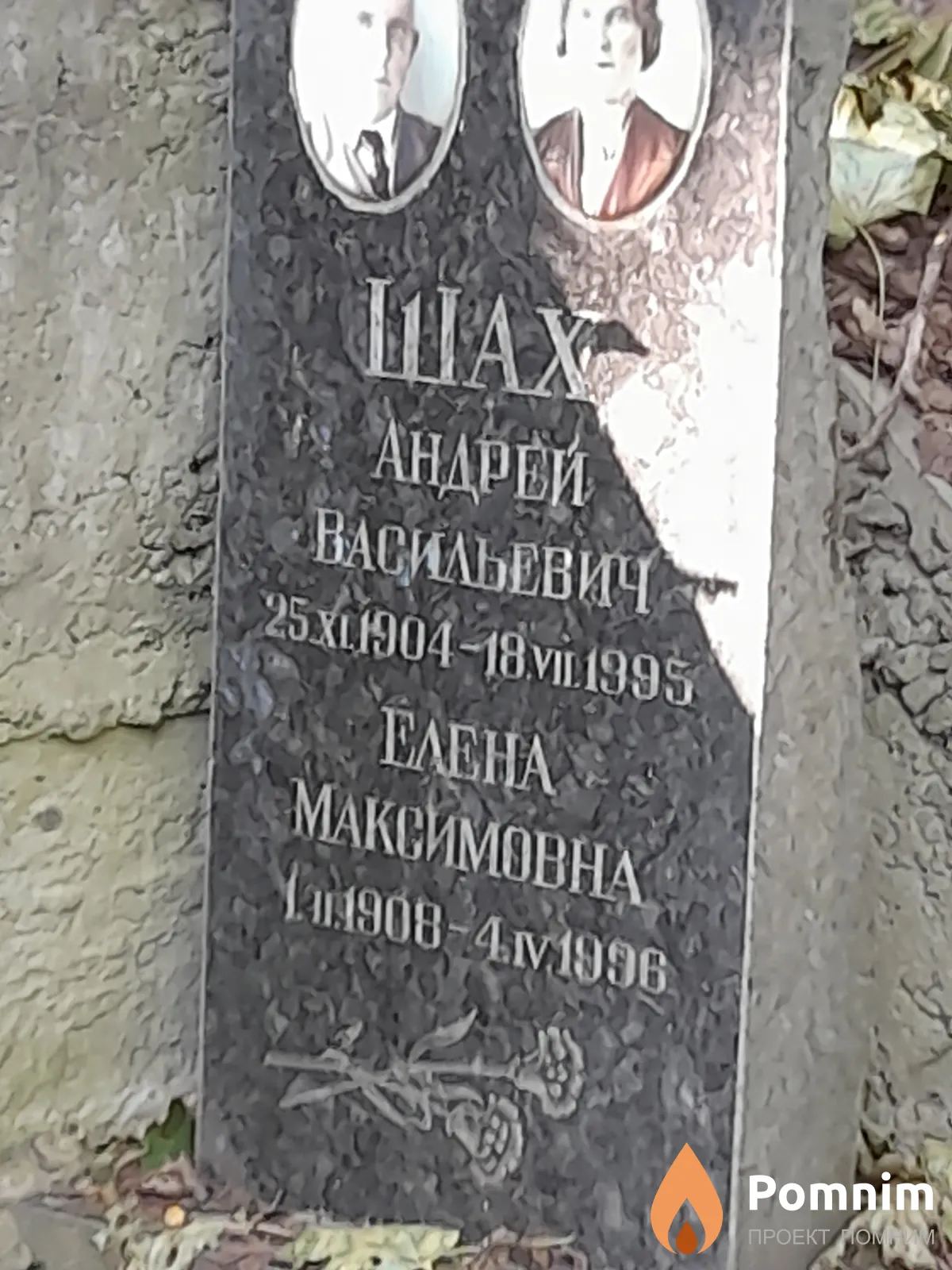 Шах Елена Максимовна