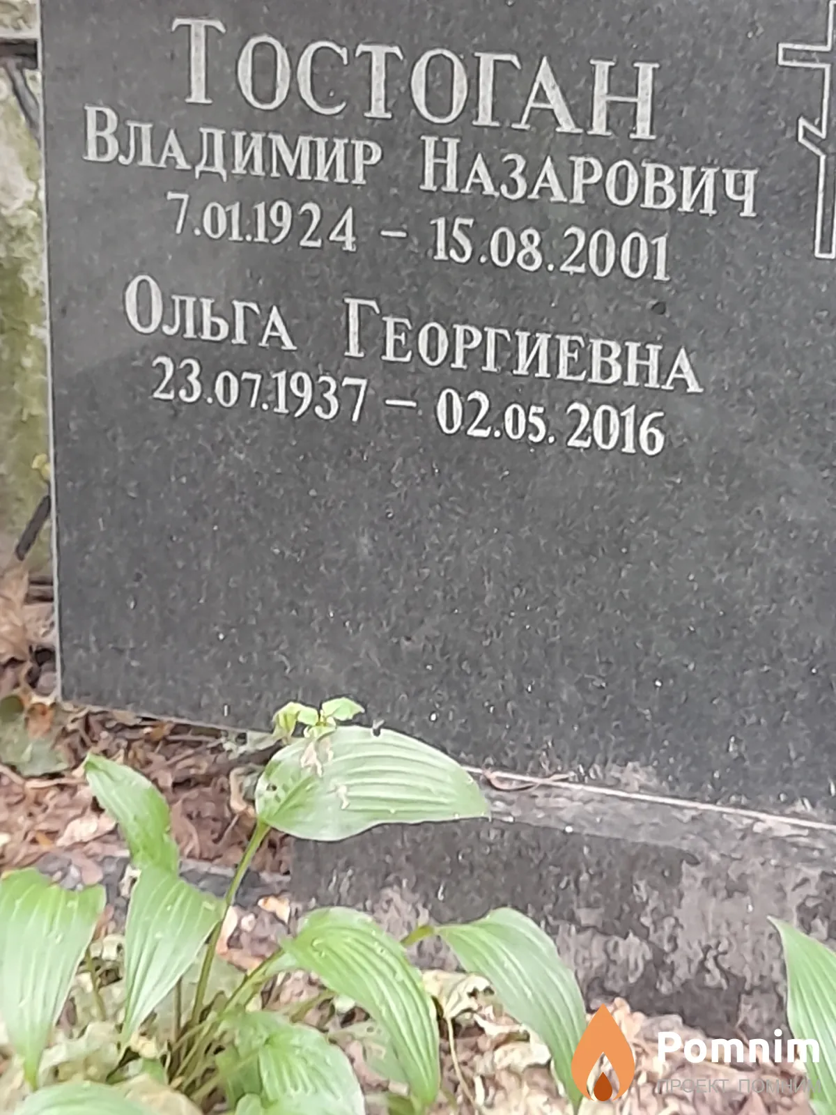 Тостоган Ольга Георгиевна