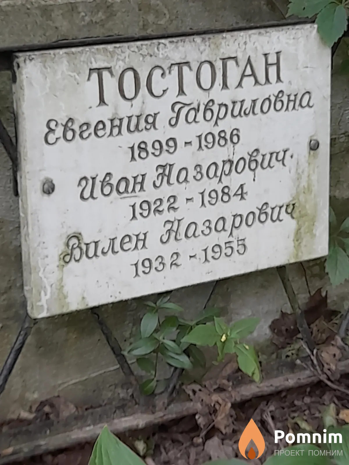 Тостоган Євгения Гавриловна