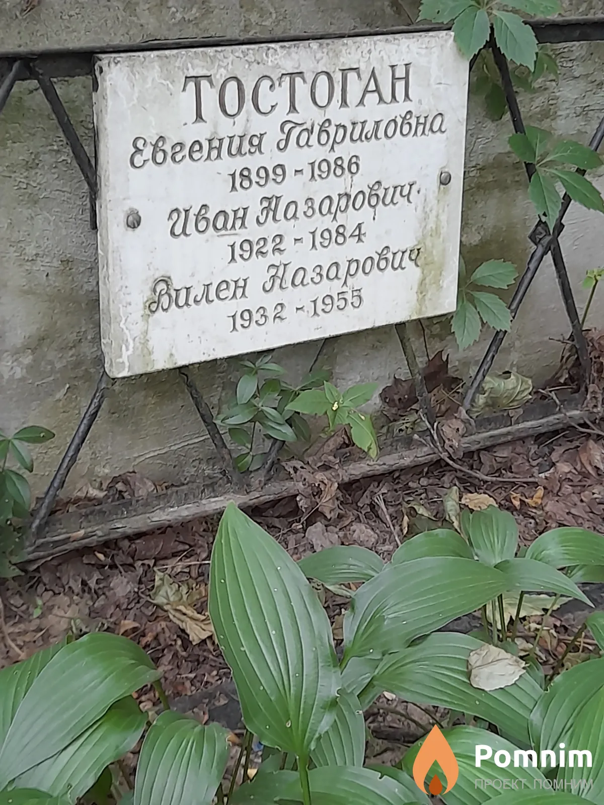 Tocтоган Вилен Назарович