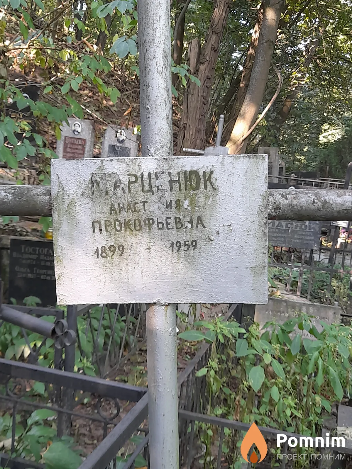 Марценюк Анастасия Прокофьева