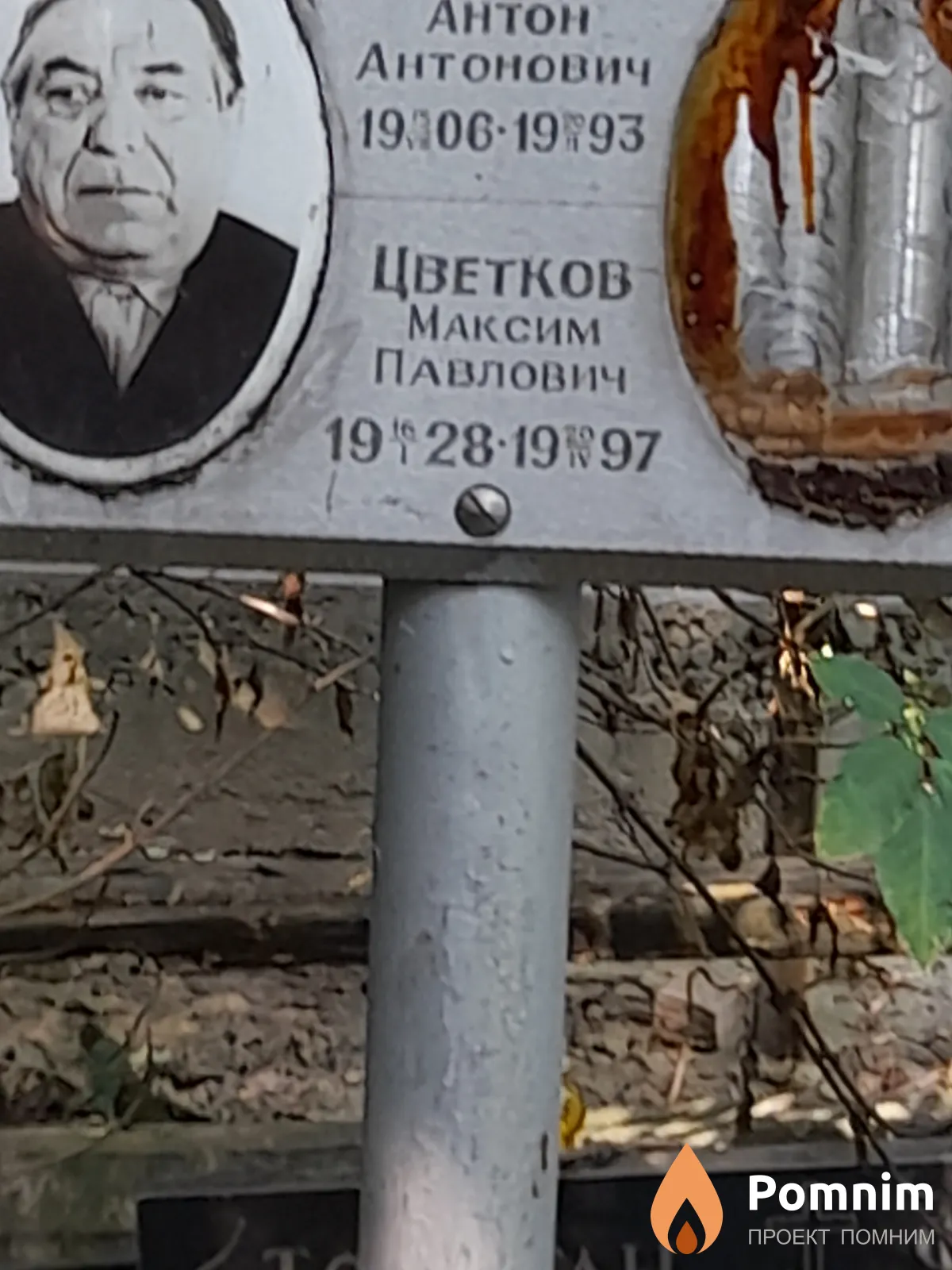 Цветков Максим Павлович