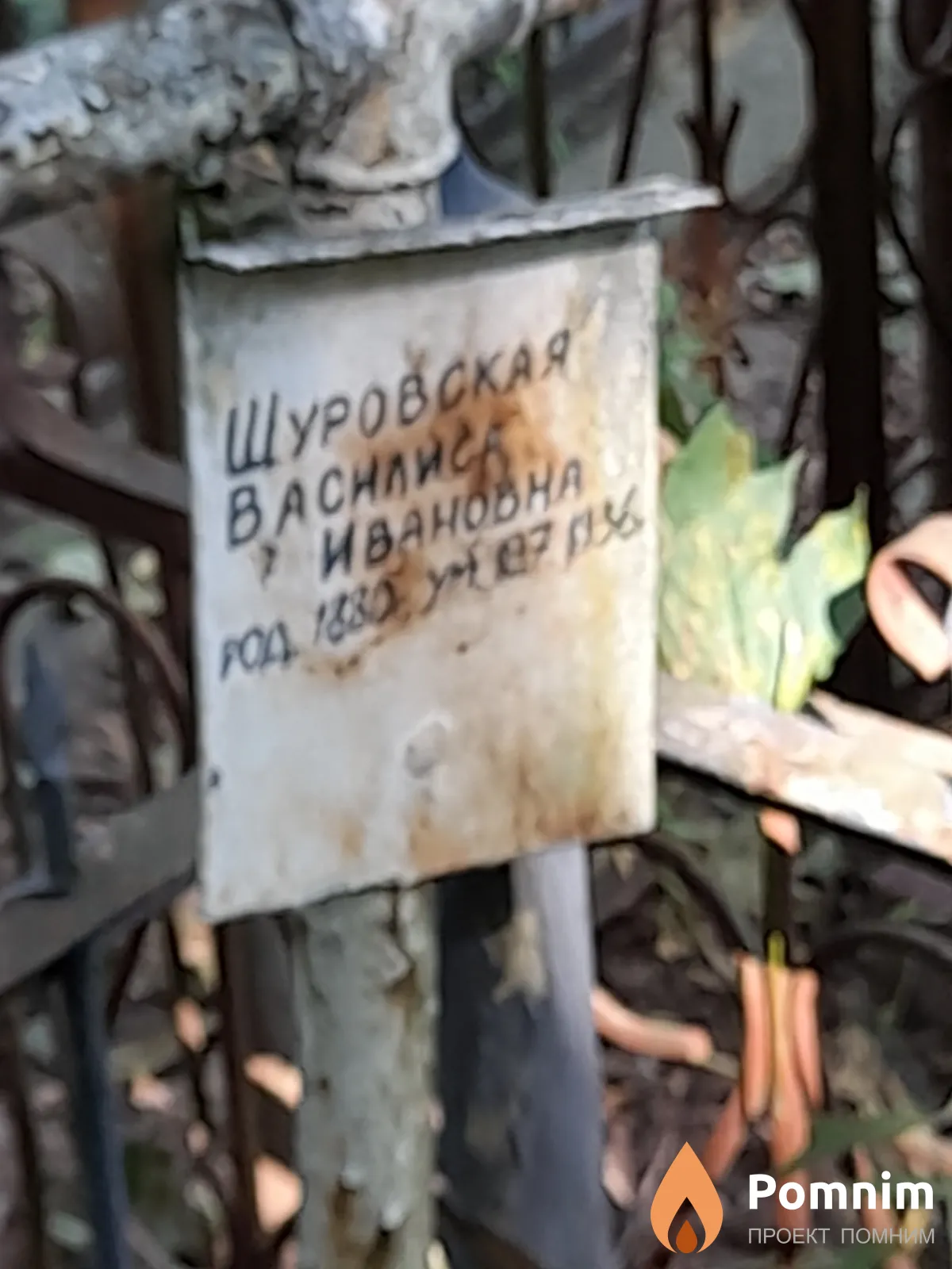Шуровская Bacилиса Ивановна