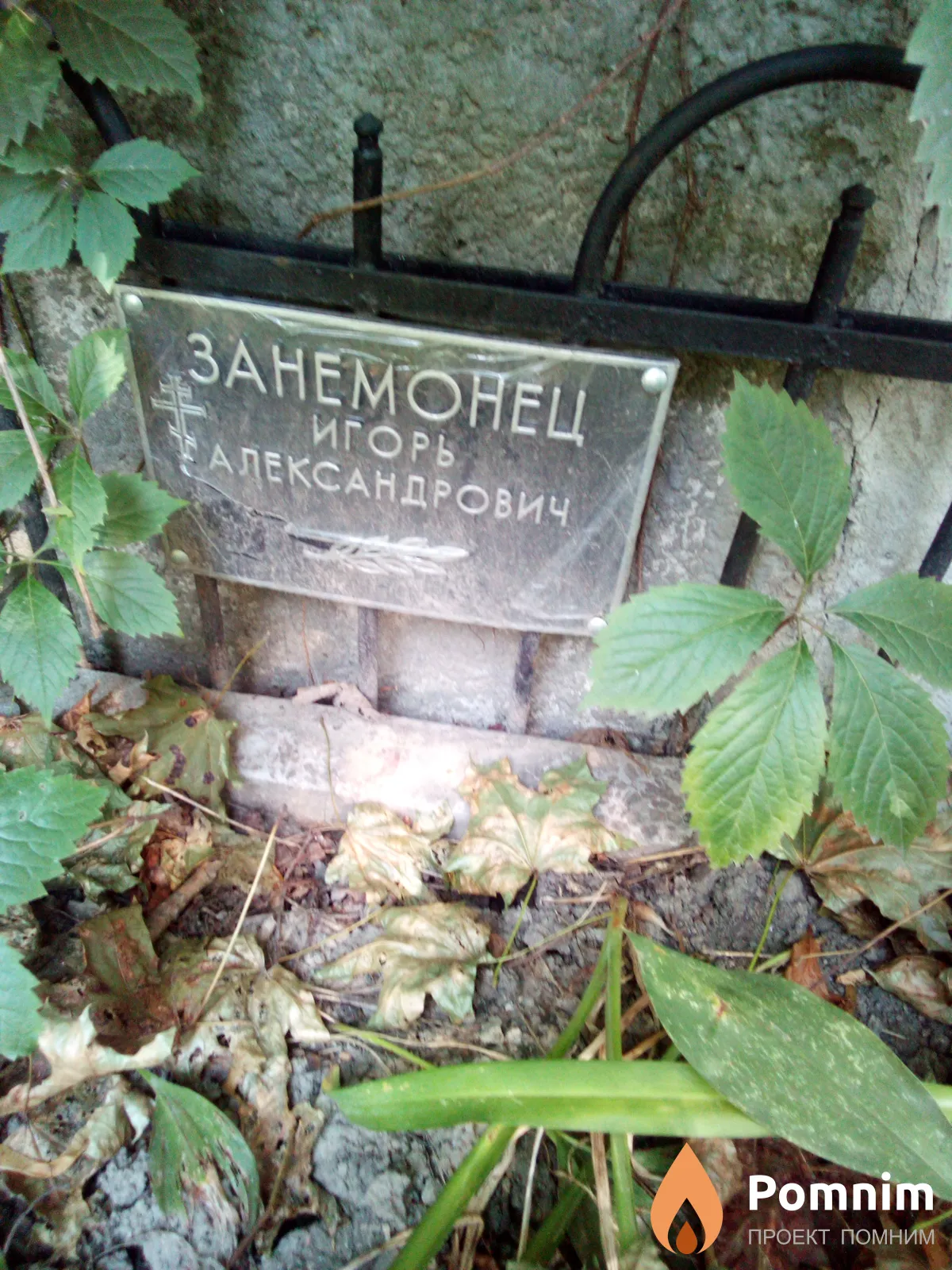 Занемонец Игорь Александрович