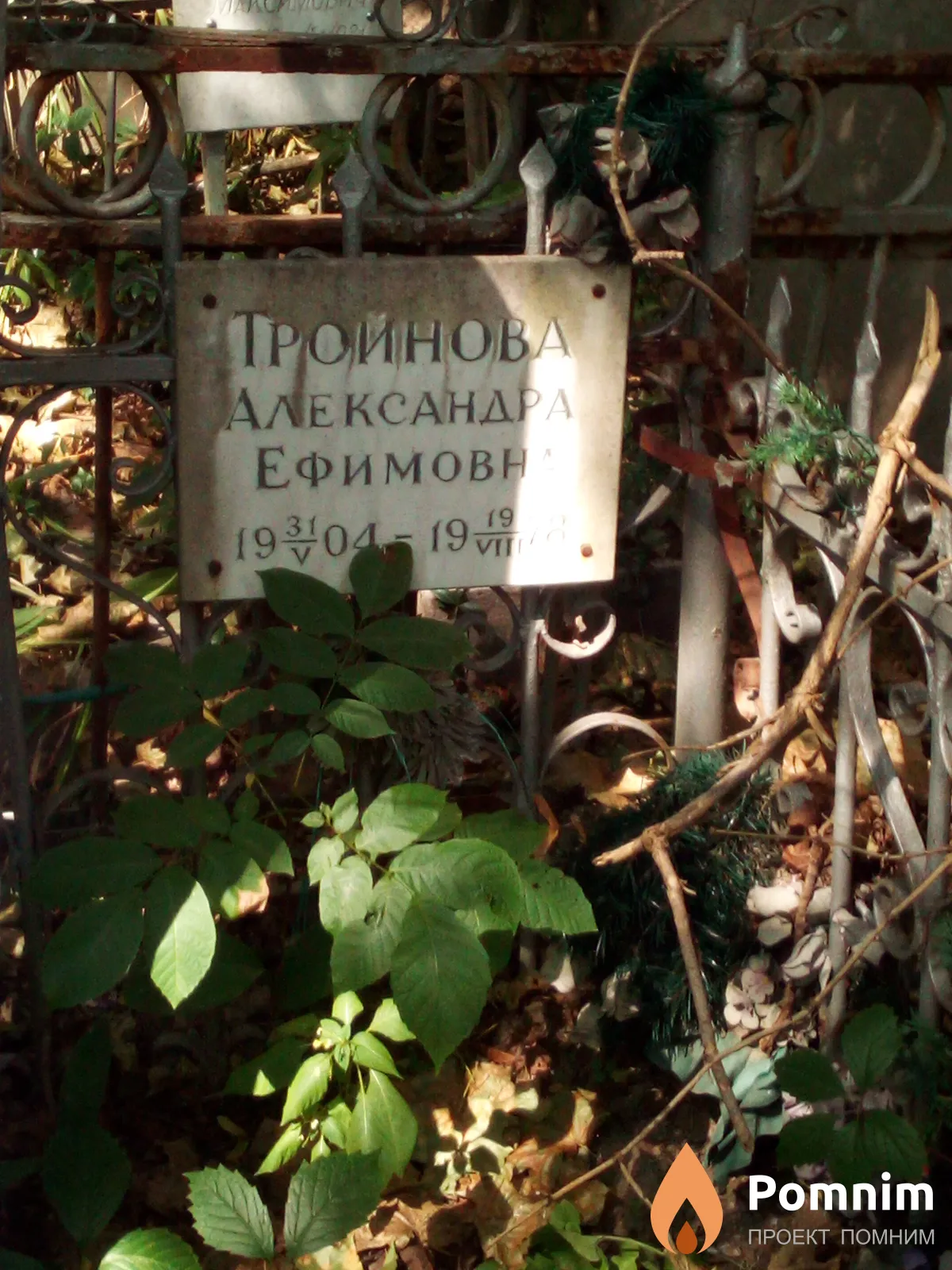 Тройнова Александра Ефимовна