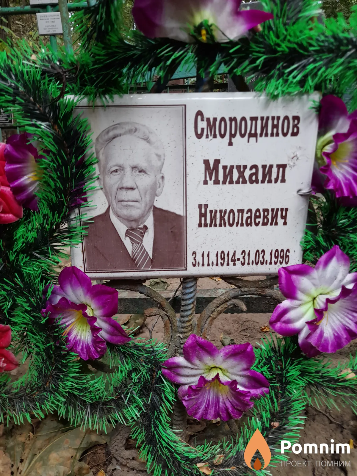 Смородинов Михаил Николаевич