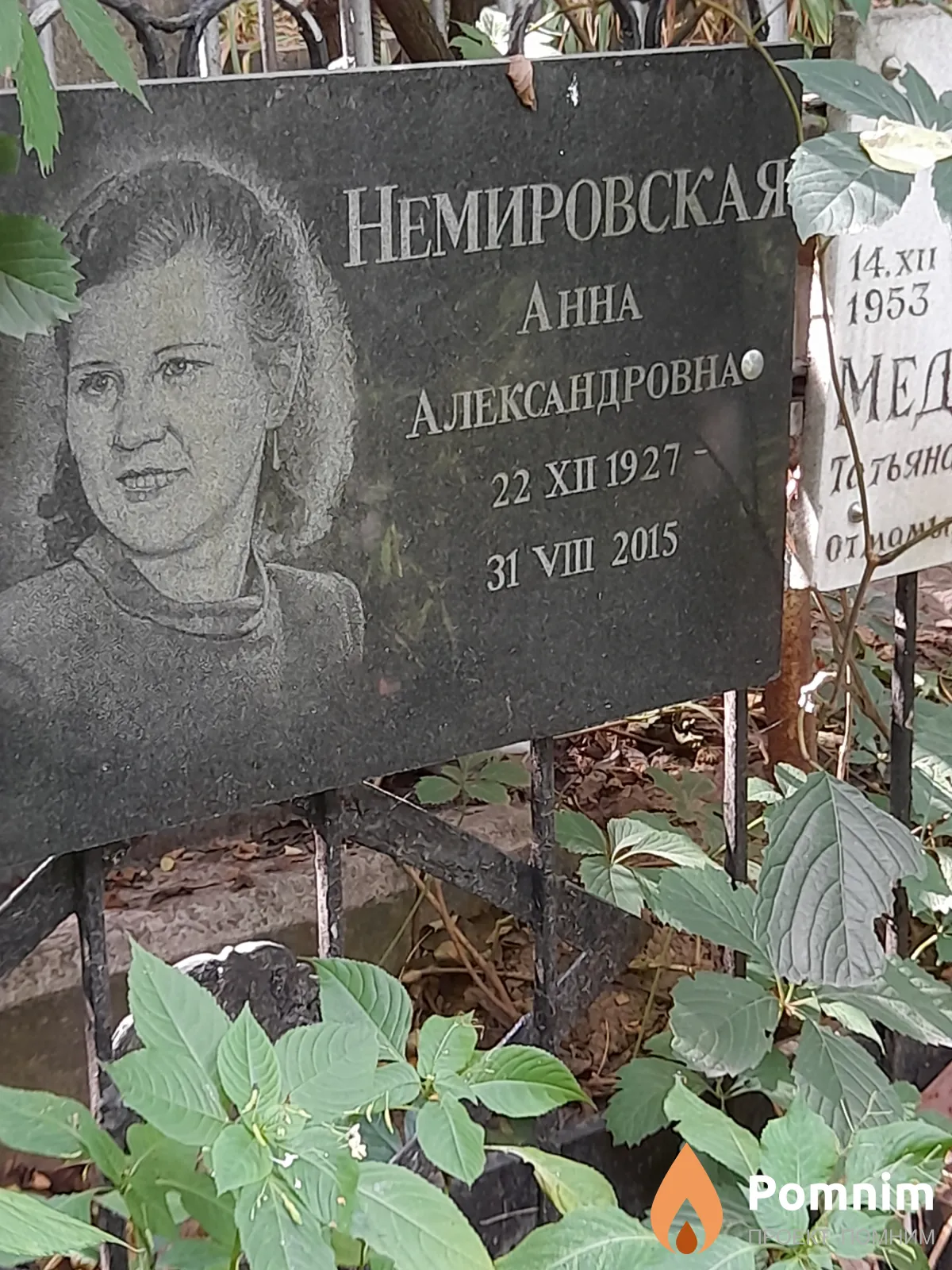 Немировская Анна Александровна