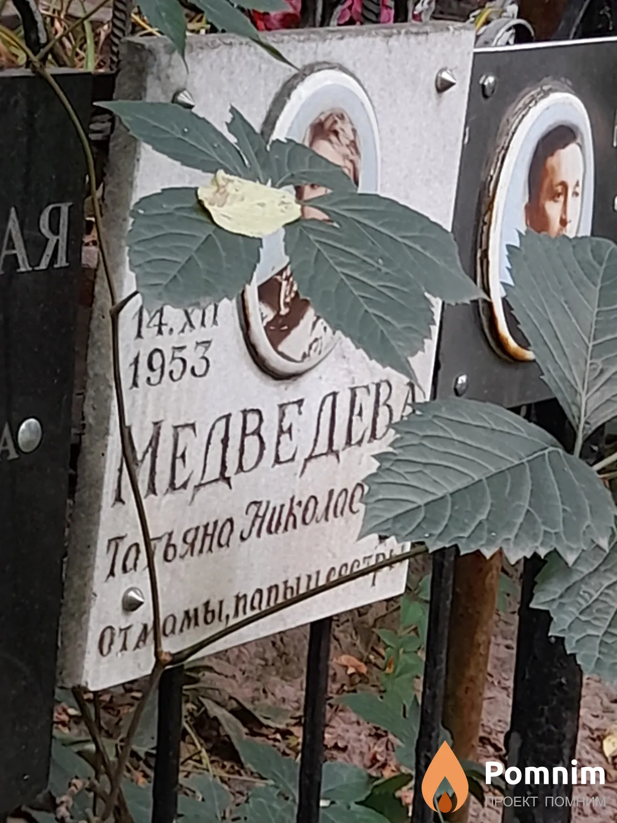 Медведева Татьяна Николаевна