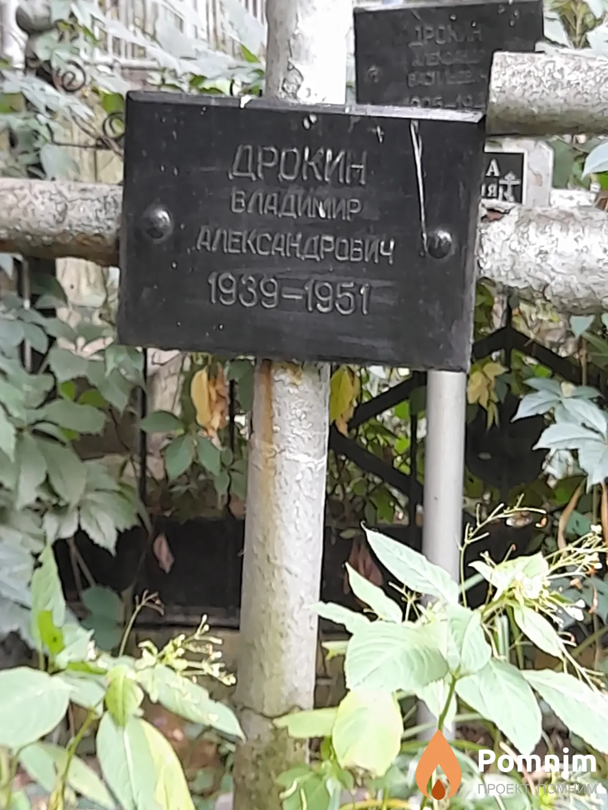 Дрокин Владимир Александрович
