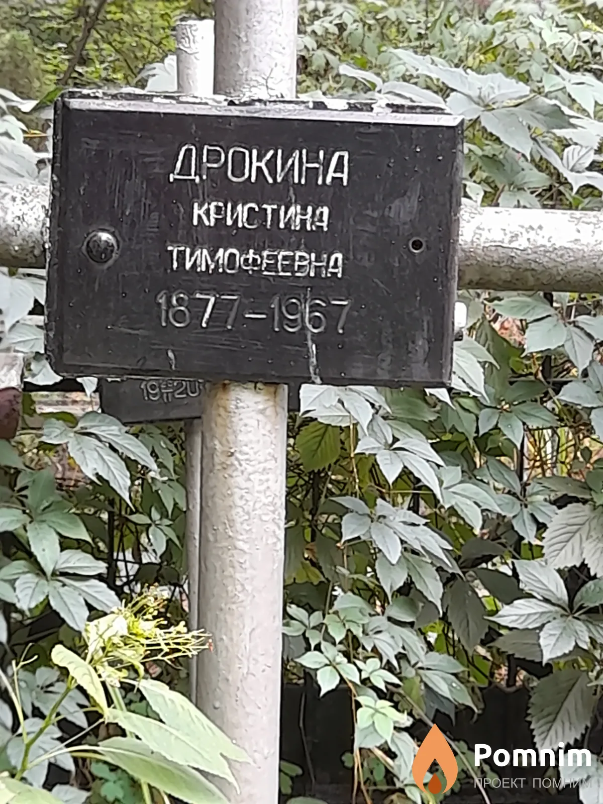 Дрокина Кристина Тимофеевна